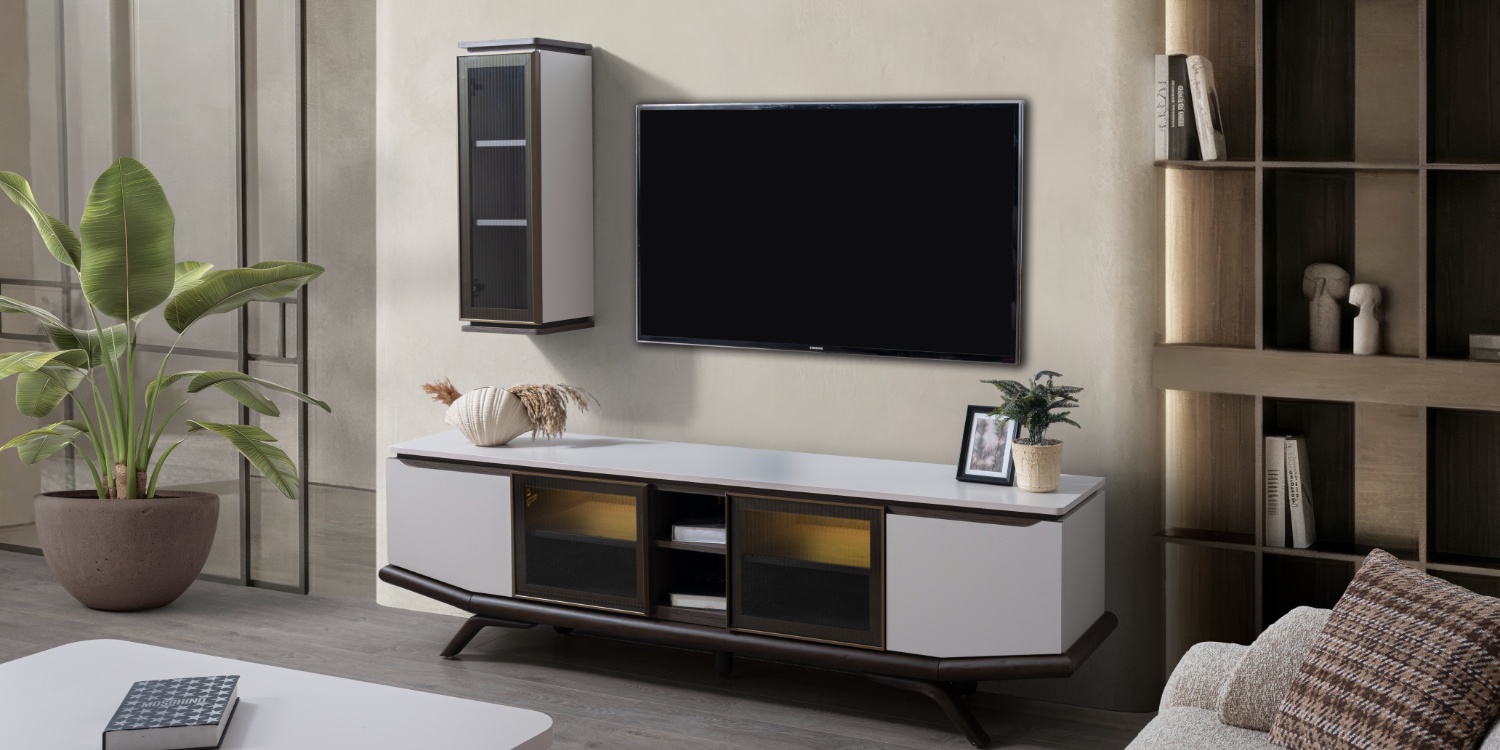 FSM Plus TV Ünitesi
